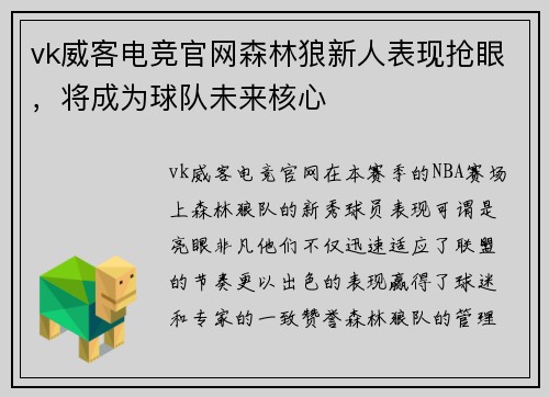 vk威客电竞官网森林狼新人表现抢眼，将成为球队未来核心